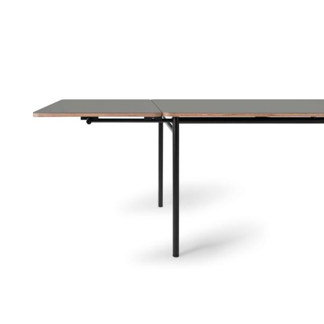 TAFFEL table - ash - 90x250/370