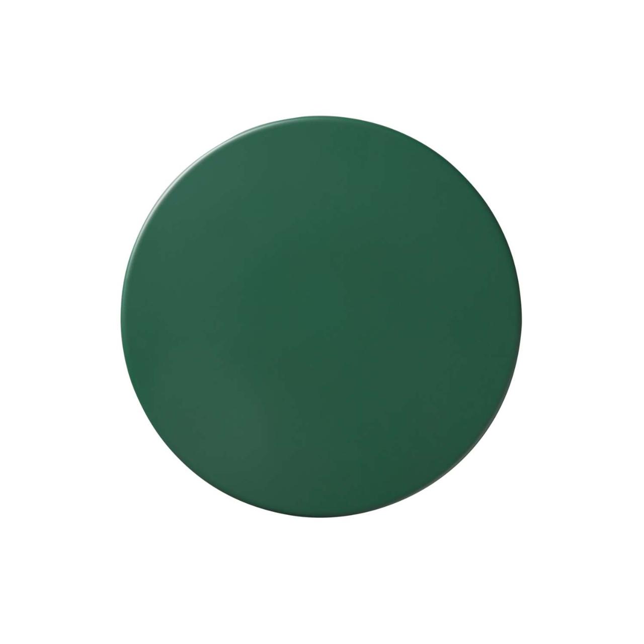 PLANET lamp Disc - Cedar Green